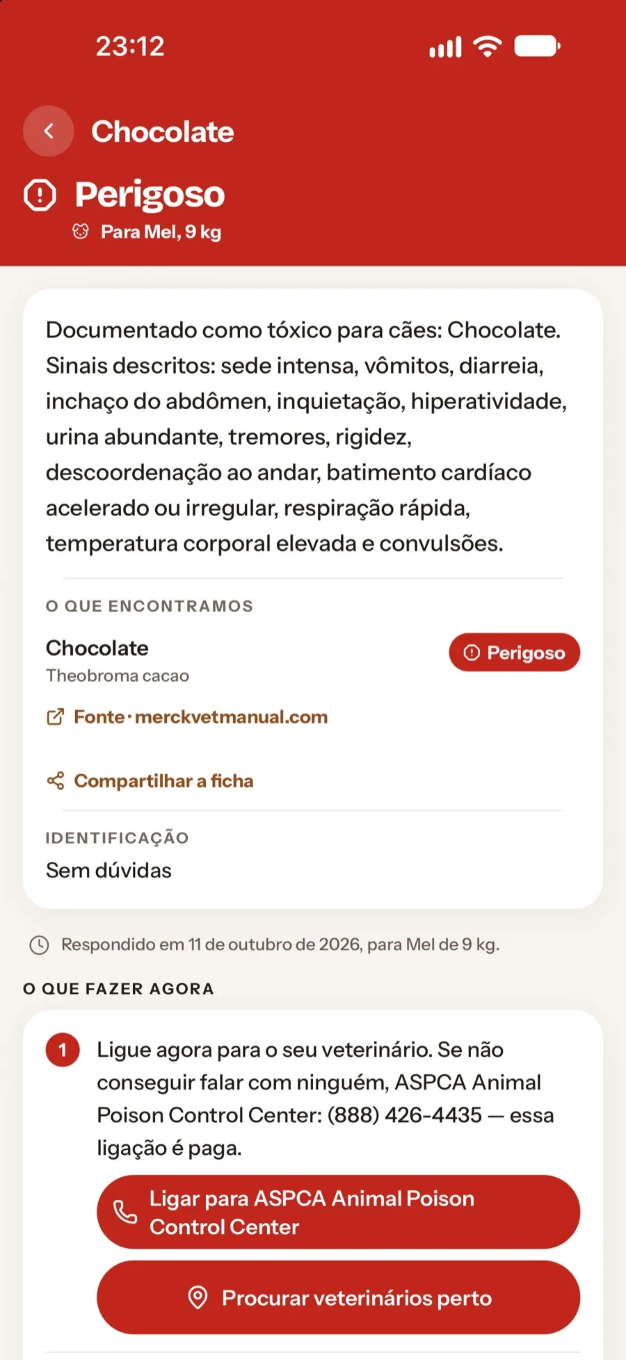 Veredito vermelho do chocolate, com os passos do que fazer agora