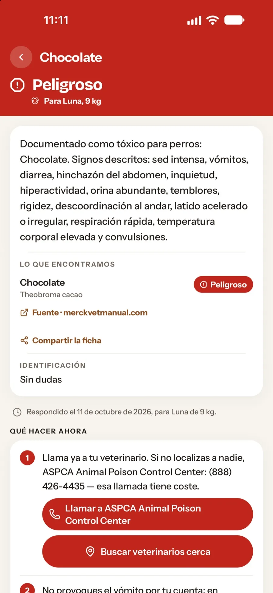 Veredicto rojo del chocolate, con los pasos de qué hacer ahora